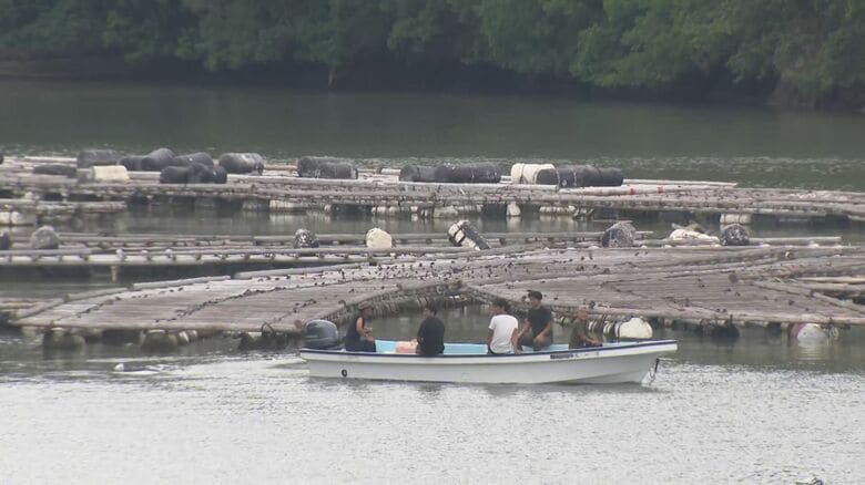 カキの養殖筏300台程が流される…『津波』の影響は広範囲に フェリーは入港できず「この海域に24時間位いる」｜FNNプライムオンライン