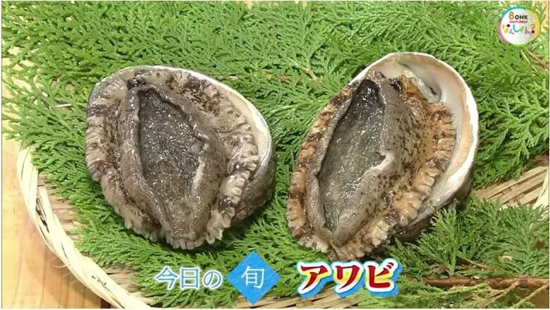 【瀬戸内旬紀行】瀬戸内海産の高級食材「アワビ」を刺身で！身の切り方が調理のコツ【岡山・香川】｜FNNプライムオンライン