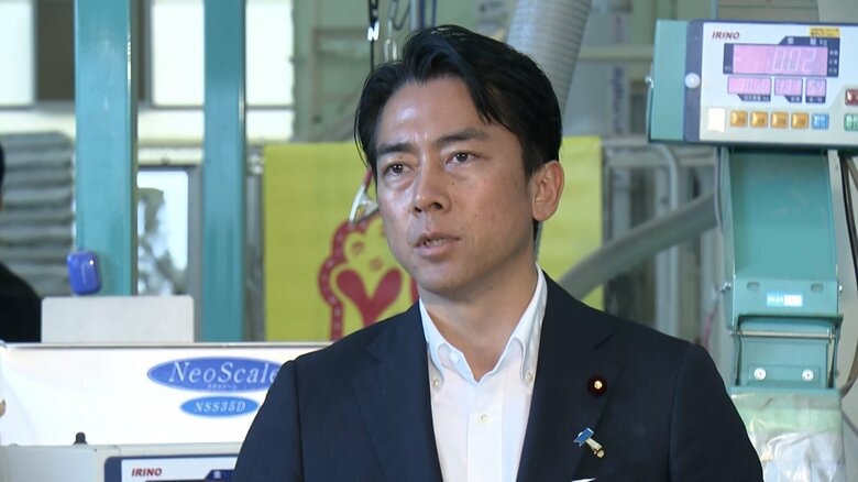 石破内閣支持率38.2％で先月比5ポイント急上昇　小泉農水相の政府備蓄米放出「評価する」が7割【FNN世論調査】｜FNNプライムオンライン