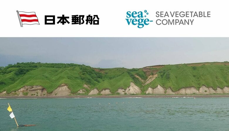 海藻の力で、海の未来を耕す。秋田県男鹿市で“養殖藻場”の実証実験を開始