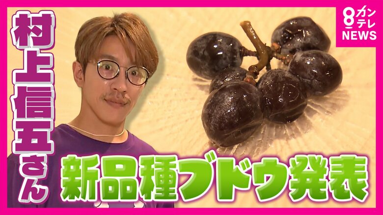 村上信五さんら開発のブドウ「パープルM」お披露目　小粒で割れにくく　「シャインマスカットにかわるところまでいきたい」と村上さん｜FNNプライムオンライン
