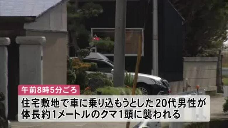 クマによる人身被害続く　20代男性、自宅の敷地で襲われ肘や尻にけが　秋田・五城目町｜FNNプライムオンライン