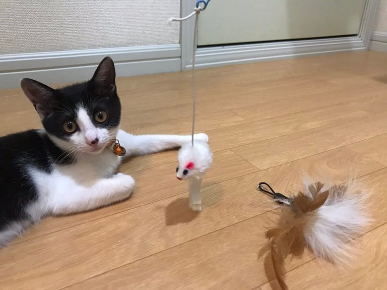 先端をネズミのおもちゃに変更