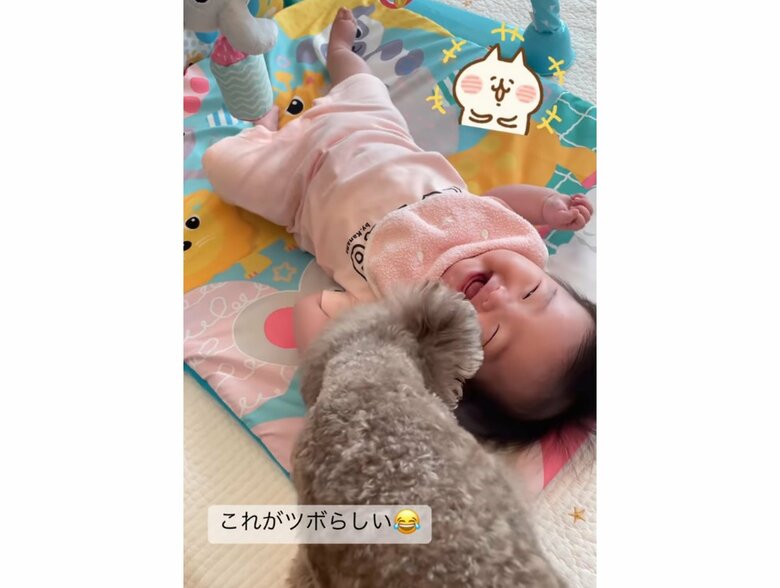 提供:KANAMEさん