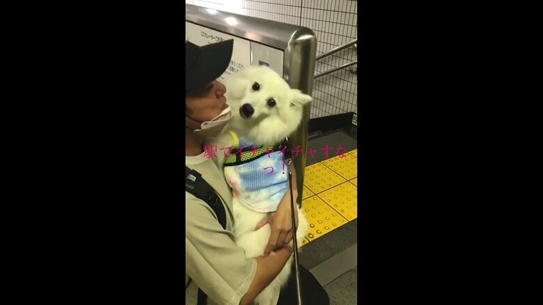 お父さんに抱かれて嬉しそうな表情を見せるいちごくん