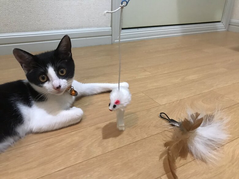 先端をネズミのおもちゃに変更