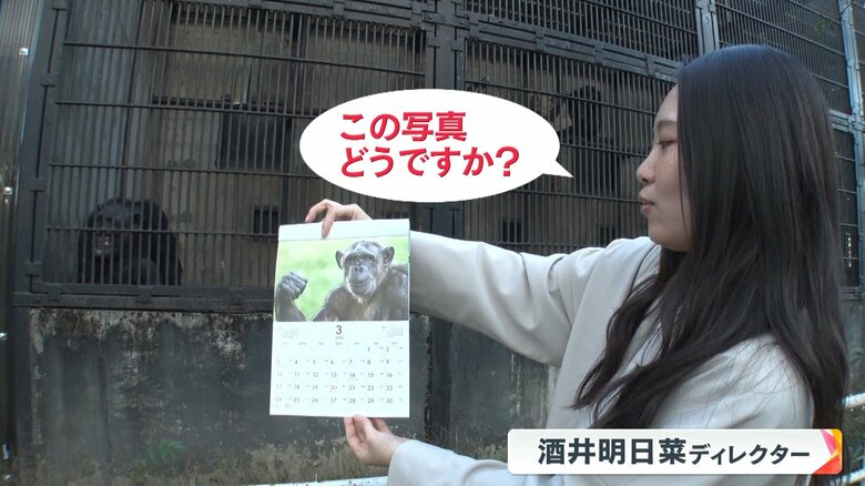 チンパンジーからも支持を得られる！とウキウキで見せに行く酒井ディレクター