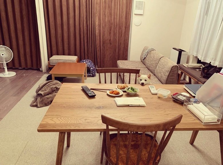 提供：ラッキーさん