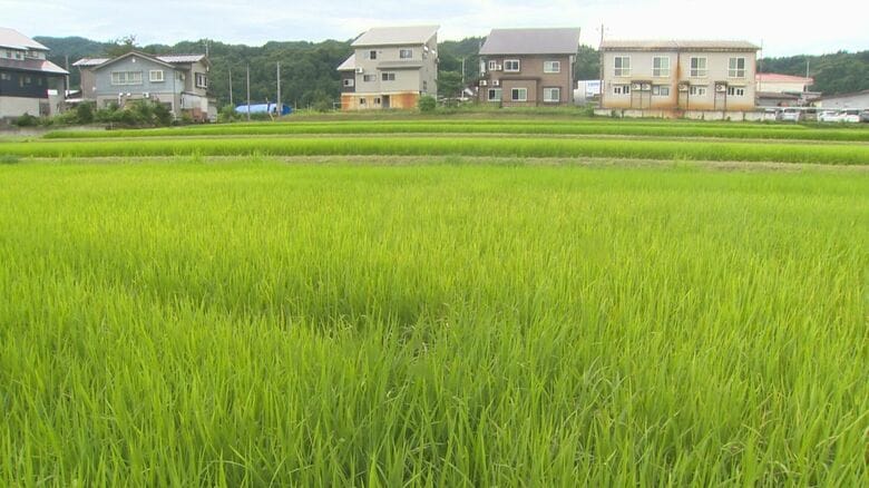 新潟県南魚沼市九日町地区