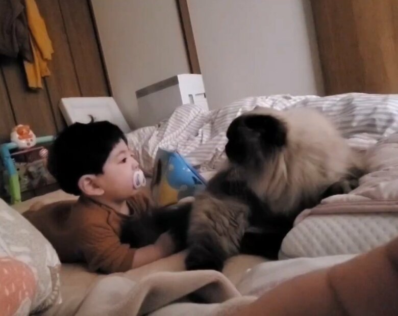 息子くんに優しいコマチちゃん（提供：ねぎまるさん）