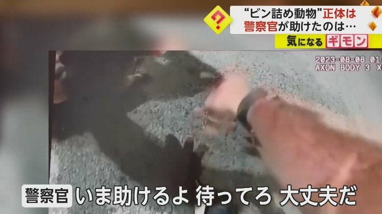 ビンに頭がはまった動物に声をかけ、救助する警察官