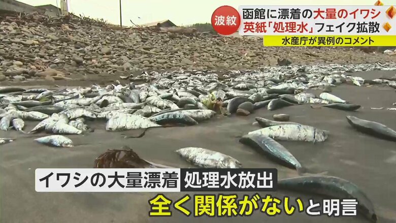 海洋問題の専門家は…