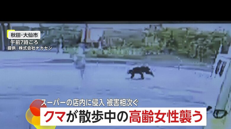 防犯カメラが捉えた、クマが高齢女性に襲いかかる瞬間③