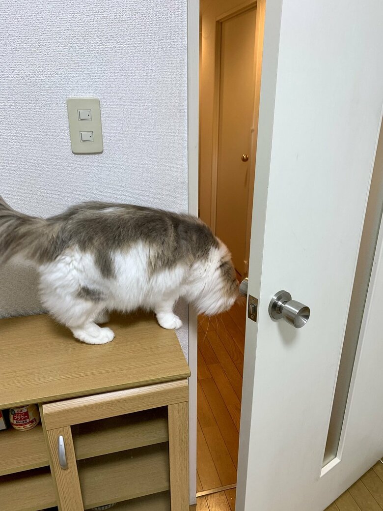 “空中浮遊”の裏側（投稿の写真とは別日に撮影）