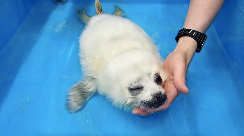 提供：海遊館