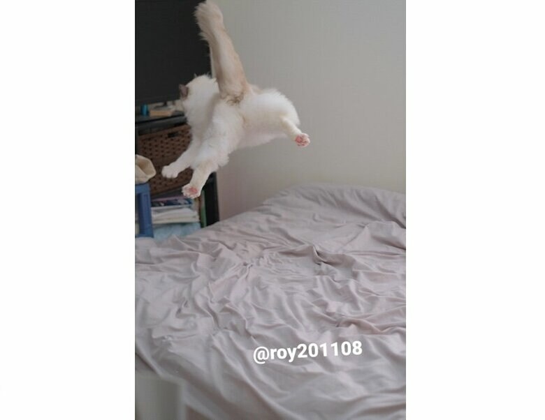 フライングロイくんのおしり（提供：ロイくん@roy201108さん）