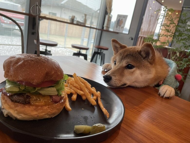 ハンバーガーに夢中