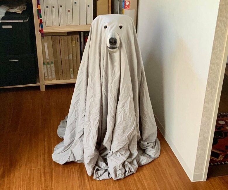 ハロウィーンの仮装