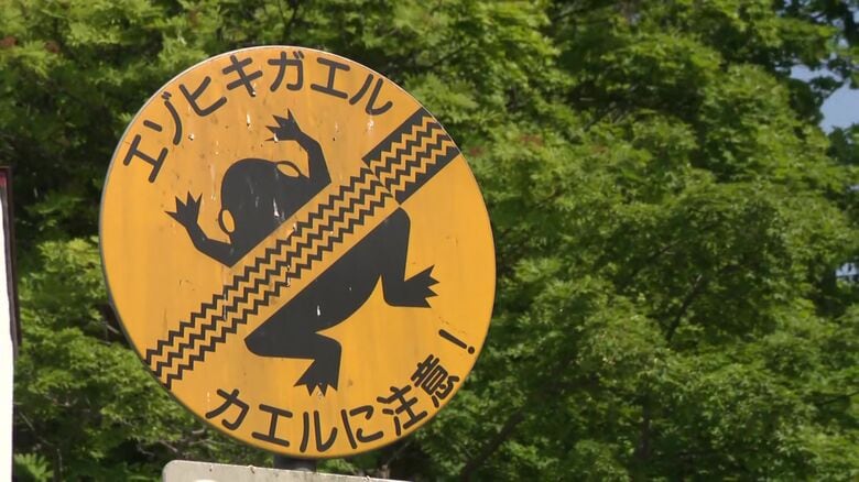 エゾヒキガエルの標識