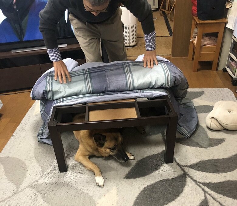 別日の掃除の時の様子
