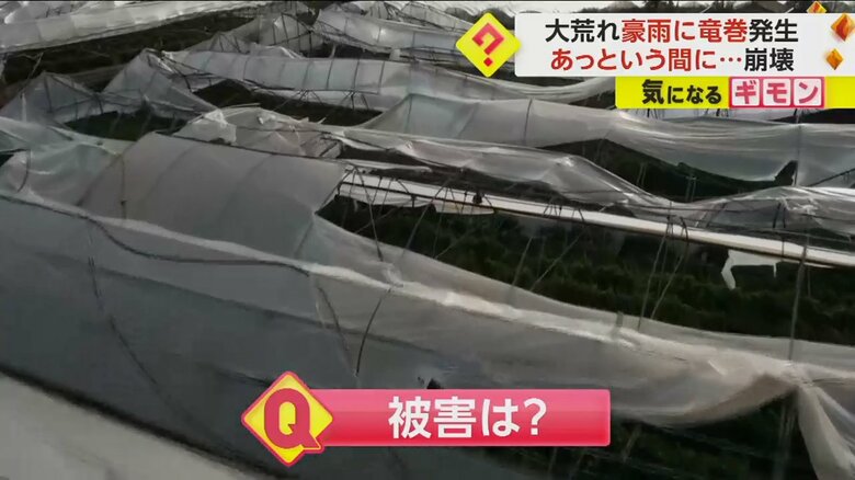 竜巻により吹き飛ばされた農業ハウスの様子