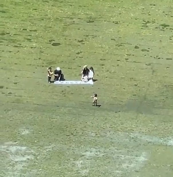 提供：ぴかさん