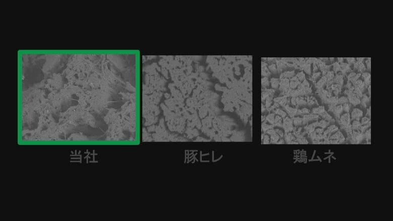 本物の肉との繊維比較（亀田製菓提供）