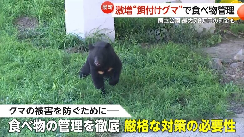 1998年のピーク時と比べ98％も減少したというクマの被害