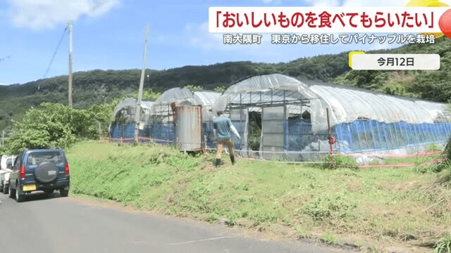 パイナップル農家・仲夫妻のハウス