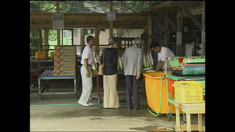 大根の洗浄作業を見学される両陛下（栃木・塩原町）