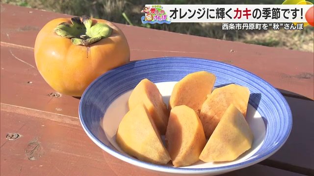 石鎚山の恵みを受けた丹原町で秋を満喫