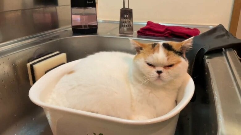 こんなところに入ることも