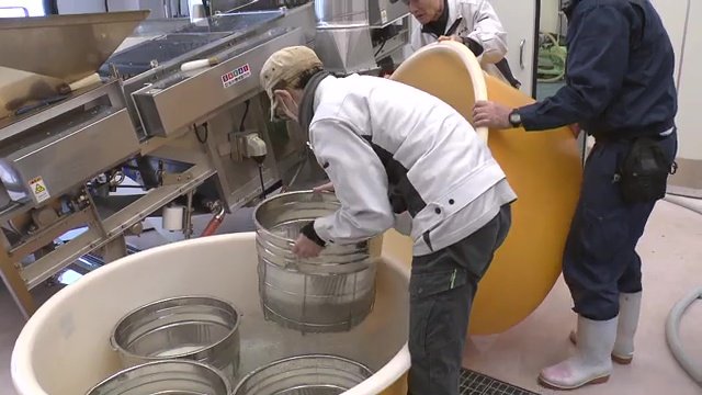 杜氏の勘と経験を頼りに