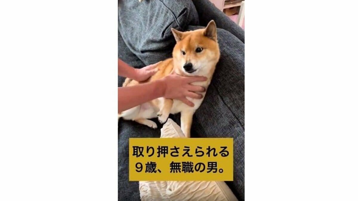 お風呂に絶対入りたくない柴犬…必死の抵抗の末“強制連行”されちゃう姿