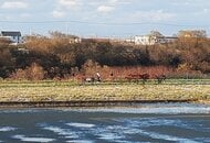 【速報】「川で人が流れているようだ」60～70代くらいの女性が救助されるも死亡確認〈北海道札幌市の豊平川〉