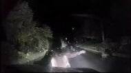 【ヒグマ速報】夜の山間部で突然襲われ車内で恐怖―走行中の道路に突然飛び出した2頭の親子のクマ_軽自動車を止めて警戒すると親グマが突進し体当たり…ボンネット損壊するも自走可能〈北海道美深町〉