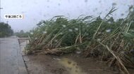 台風13号　6日夜遅くに最接近か　沖縄・大東島地方に暴風警報　南大東村で昼過ぎに最大瞬間風速31.1メートル