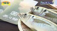 ブランド魚「めいつ美々鯵」出荷開始！日南市・目井津港で初競り1キロ1万円の高値も