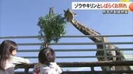 熊本市動植物園 新エリア整備に伴いゾウなどの観覧が３日まで「しばらくお別れ」【熊本】