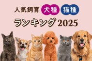 「人気飼育犬種・猫種ランキング2025年版」発表!