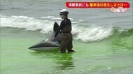 もうすぐ海水浴シーズン 海難事故にもつながる“離岸流”の恐ろしさとは…【新潟】