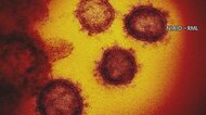 広島県内の新型コロナウイルス 21人の感染を発表 24日