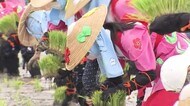 田植えシーズン前に 太宰府天満宮で御田植祭 五穀豊穣願う
