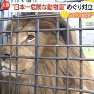 20年間無許可営業…“日本一危険な動物園”「ノースサファリサッポロ」運営会社と札幌市が対立　食い違う双方の主張とは？閉園の可能性で動物心配する声も