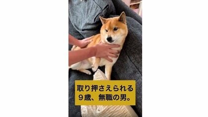 お風呂に絶対入りたくない柴犬…必死の抵抗の末“強制連行”されちゃう姿がかわいい！いつもの攻防なのか聞いた