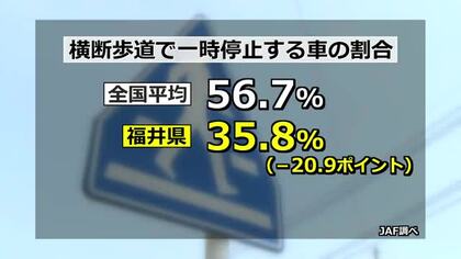 信号機のない横断歩道での一時停止率　福井が全国ワースト3　全国平均を21ポイントも下回る35.8％　JAF調査