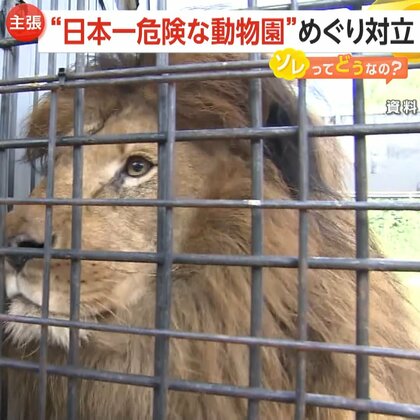 20年間無許可営業…“日本一危険な動物園”「ノースサファリサッポロ」運営会社と札幌市が対立　食い違う双方の主張とは？閉園の可能性で動物心配する声も