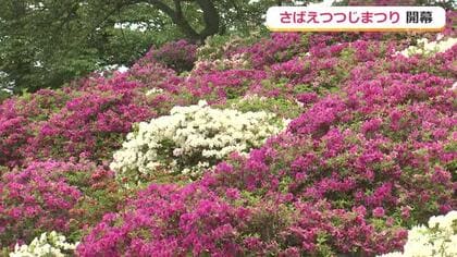 鯖江でゴールデンウィーク恒例行事　「つつじまつり」と「越前漆器まつり」　観光客でにぎわう