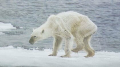 1日約100種類が“絶滅”…写真集「絶滅動物園」出版者が訴える動物たちの危機「変えられるのも人間だけ」