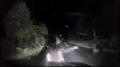【ヒグマ速報】夜の山間部で突然襲われ車内で恐怖―走行中の道路に突然飛び出した2頭の親子のクマ_軽自動車を止めて警戒すると親グマが突進し体当たり…ボンネット損壊するも自走可能〈北海道美深町〉